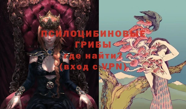 кокаин премиум Белокуриха