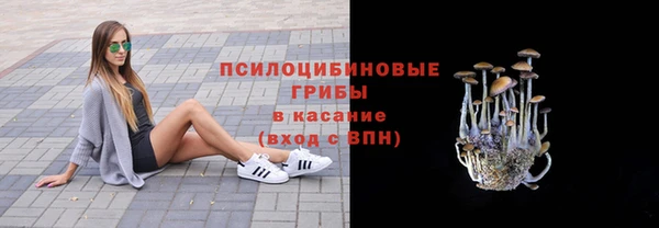 мдпв Беломорск