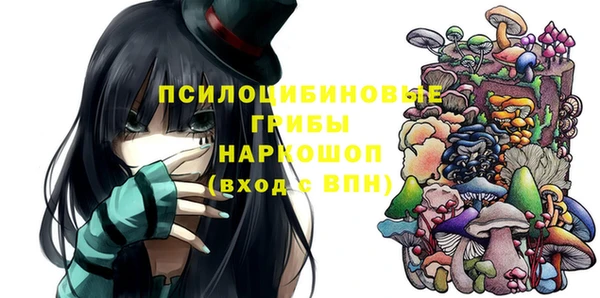 мдпв Беломорск