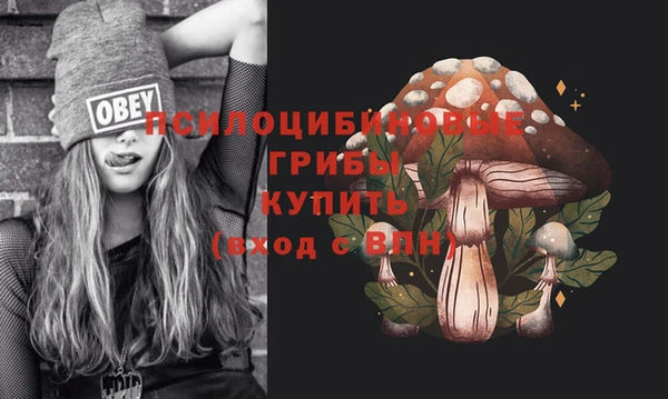 кокаин премиум Белокуриха