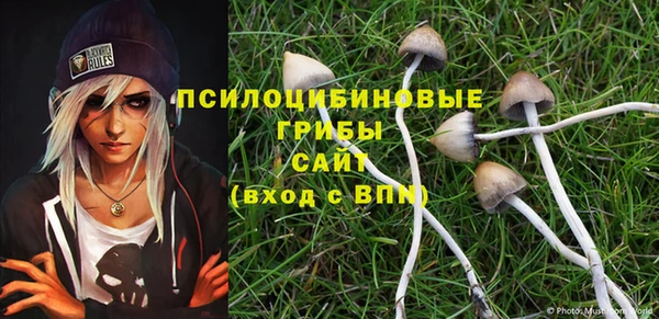 мдпв Беломорск