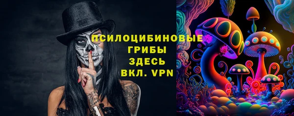 мдпв Беломорск