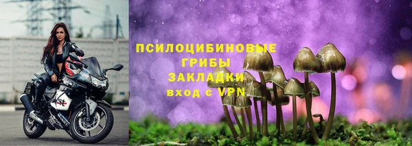 a pvp Белоозёрский