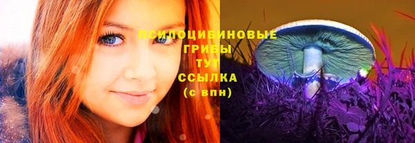 мдпв Беломорск